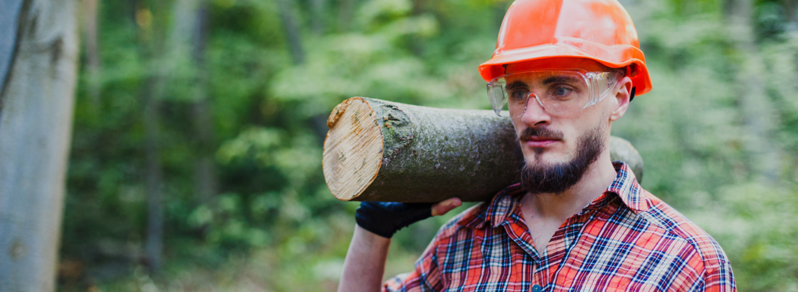 worker moving a log